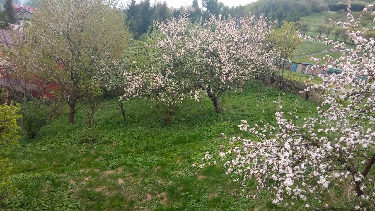 Pokoje U Adama Grajoka Szczawnica Exterior photo