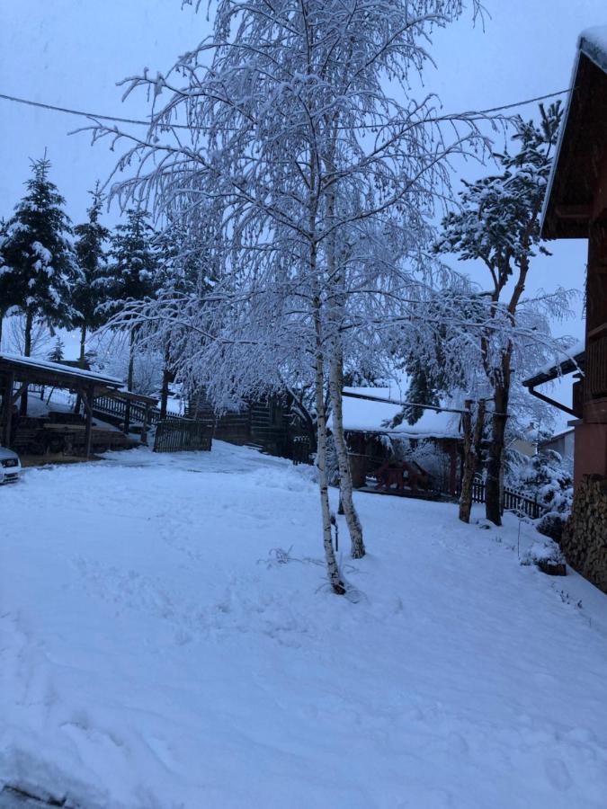 Pokoje U Adama Grajoka Szczawnica Exterior photo
